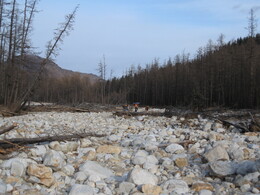 ����� ���� ������, �����, 11 ������� 2007