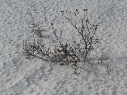 �����, 13 ������� 2007