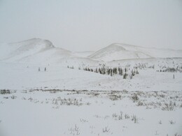 �����, 17 ������� 2007