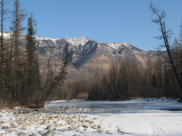 ���� ����, �����, 1 ����� 2007