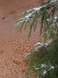 �����������, 17 ����� 2007