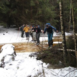 �����������, 17 ����� 2007