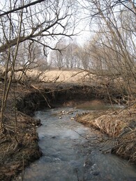 �����������, 31 ����� 2007