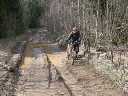 �����������, 22 ������ 2007