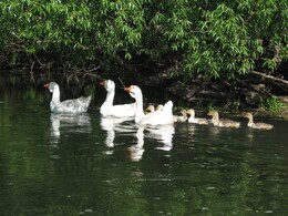 �������� �������, 26 ��� 2007