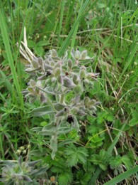 �������� �������, 27 ��� 2007