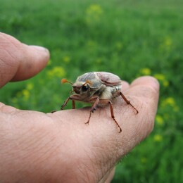 �������� �������, 27 ��� 2007