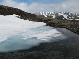 ������, 8 ���� 2007