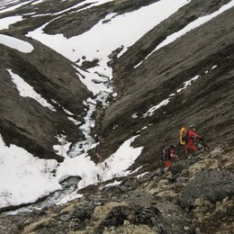 ����� RedFox AR, ������, 10 ���� 2007