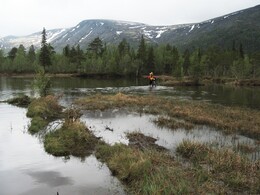 ����� RedFox AR, ������, 10 ���� 2007