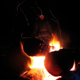 ������������ ������ ���� � ����, �����������, 31 ������� 2007