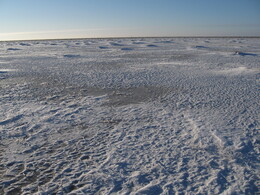 ��������� ������, �������� �������, 5 ������ 2008