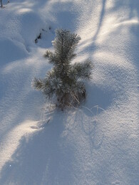 ��������� ������, �������� �������, 5 ������ 2008