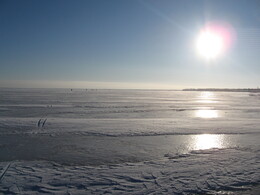 ��������� �����, �������� �������, 5 ������ 2008