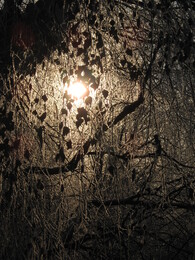 ��������� ������, �������� �������, 6 ������ 2008