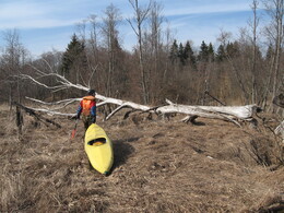 ����� �� ���� ������� ������, �����������, 30 ����� 2008