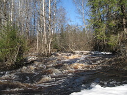 ���� ����������, ���������� ��������, 15 ������ 2008