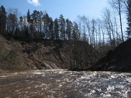 ���� ��������, ������, 20 ������ 2008