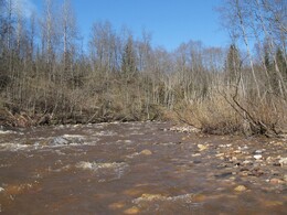 ���� ��������, ������, 20 ������ 2008