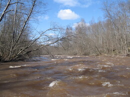 ���� ��������, ������, 20 ������ 2008