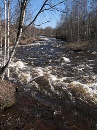 ���� �������, ������, 20 ������ 2008