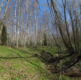 �����������, 25 ������ 2008