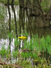 �������� �������, 2 ��� 2008