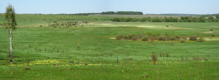 �������� �������, 3 ��� 2008