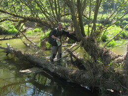 �����������, 17 ��� 2008