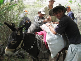 ������ ������, �����, 7 ������� 2008