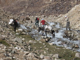 ������-���������� ������, �����, 8 ������� 2008