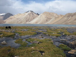 ��� �� ����� ������, ������-���������� ������, �����, 10 ������� 2008