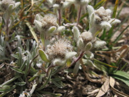 ����������, ������-���������� ������, �����, 11 ������� 2008