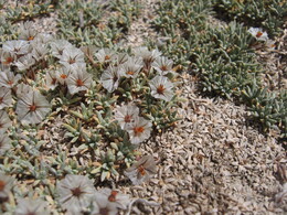 ������-���������� ������, �����, 13 ������� 2008