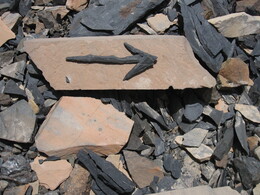 �����, 16 ������� 2008