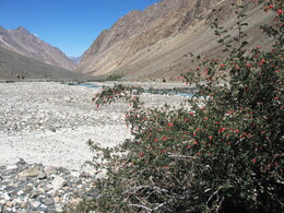 �������� ���� �������, �����, 20 ������� 2008