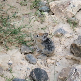 ������, �����, 21 ������� 2008