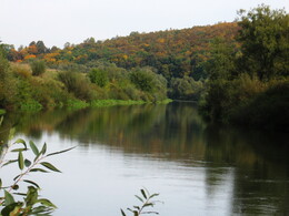 �����������, 28 �������� 2008