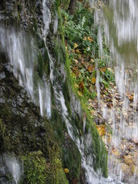 �����������, 5 ������� 2008