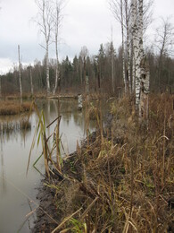 ������, 2 ������ 2008