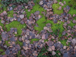 ������, 4 ������ 2008