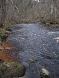 ������, 4 ������ 2008