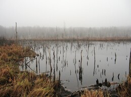 �����������, 7 ������� 2008