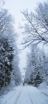 �����������, 13 ������� 2008