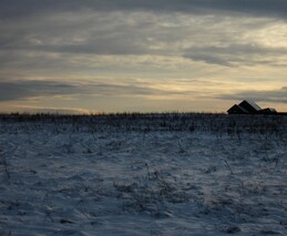 �����������, 20 ������� 2008