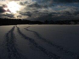 �����������, 28 ������� 2008