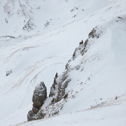 ������, 6 ������ 2009