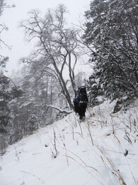 ������, 7 ������ 2009