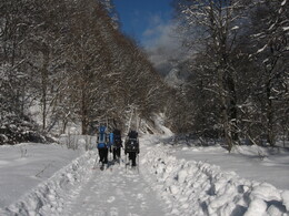 ������ ����� �� �������, 8 ������ 2009