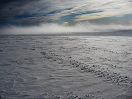 ��������, 17 ����� 2009